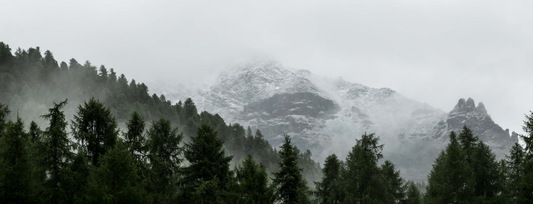 Five Elements Crystal❤️Learn to choose the crystal that suits you with one minute